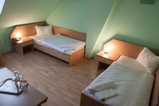 Отель Hotel Aeroplan Зелёна-Гура Двухместный номер с 2 отдельными кроватями-10